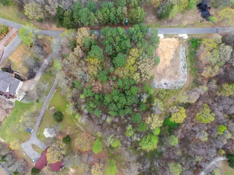 0 Branch Loop