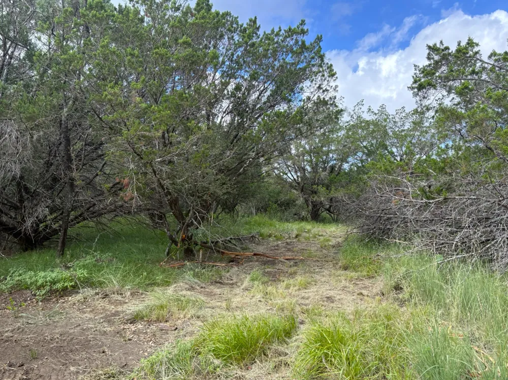 380 Sandy Mountain Sunrise Beach, TX 78643