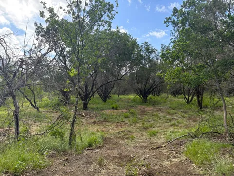 380 Sandy Mountain