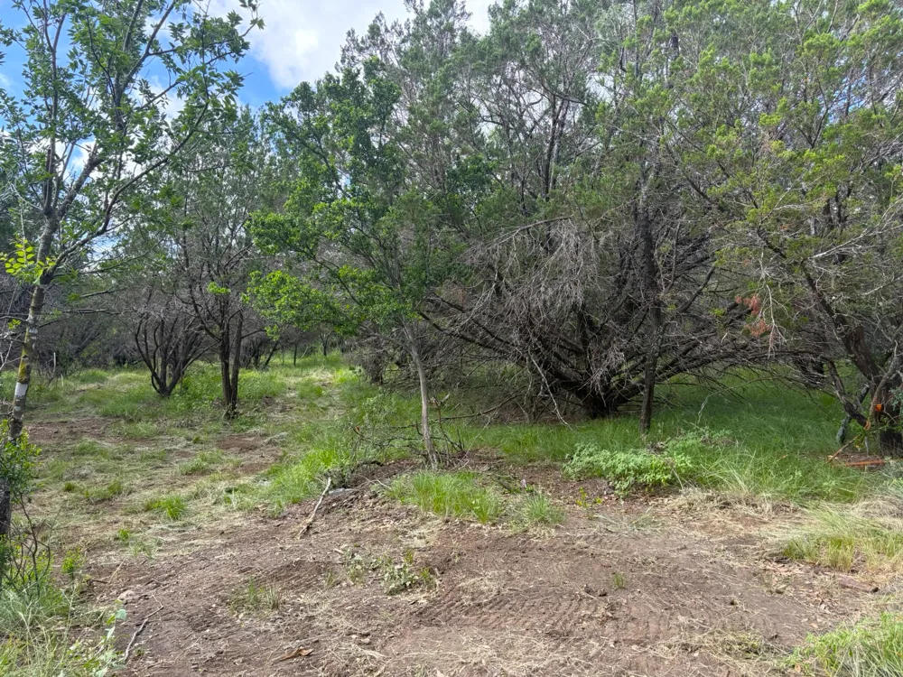 380 Sandy Mountain Sunrise Beach, TX 78643