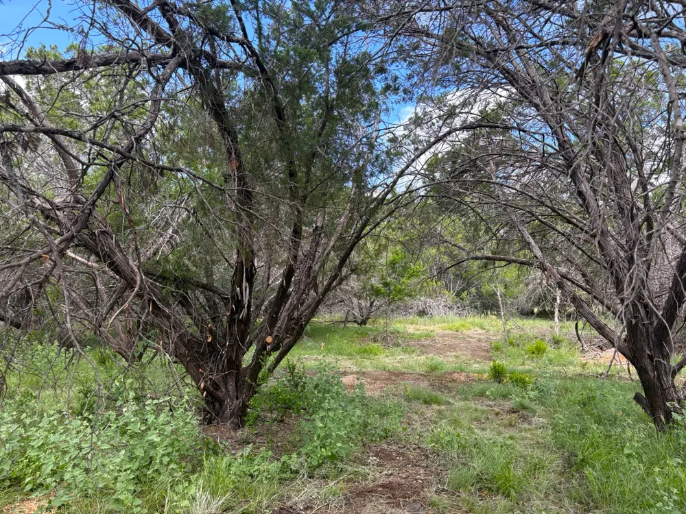 380 Sandy Mountain Sunrise Beach, TX 78643
