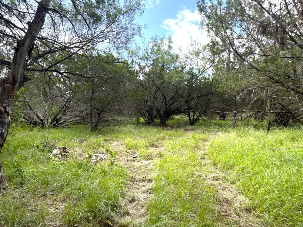 380 Sandy Mountain Sunrise Beach, TX 78643