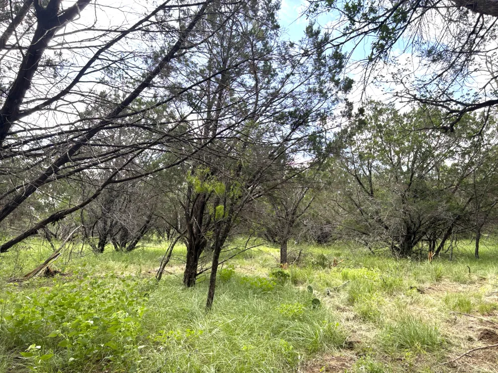380 Sandy Mountain Sunrise Beach, TX 78643