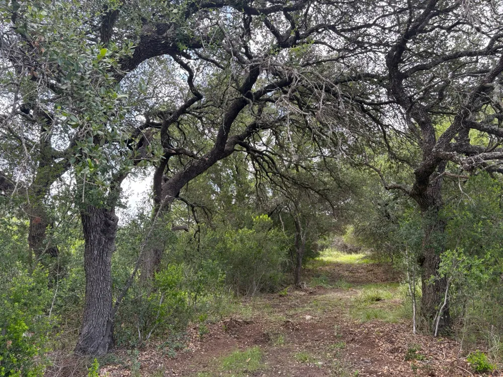 380 Sandy Mountain Sunrise Beach, TX 78643