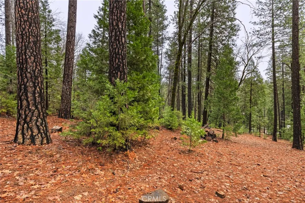 Christina Drive Forest Ranch, CA 95942