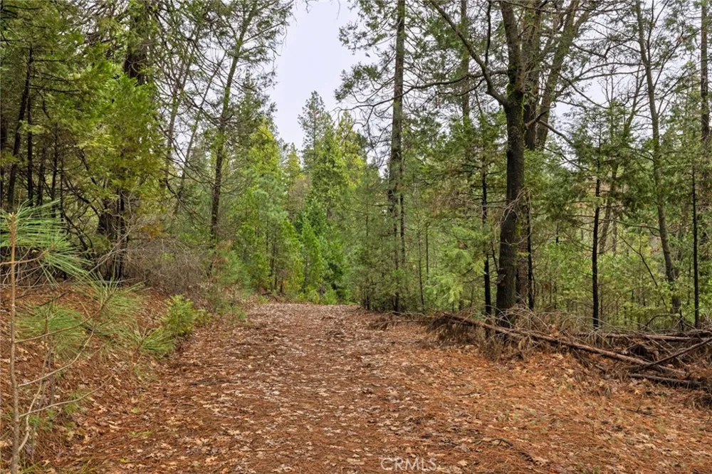 Christina Drive Forest Ranch, CA 95942