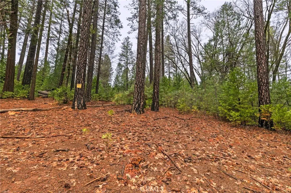 Christina Drive Forest Ranch, CA 95942