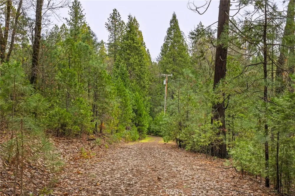 Christina Drive Forest Ranch, CA 95942