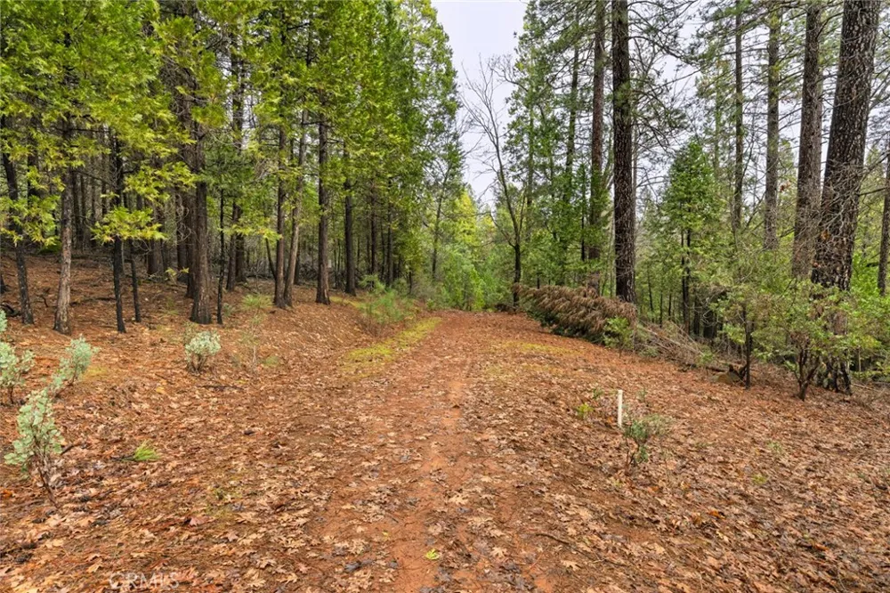 Christina Drive Forest Ranch, CA 95942