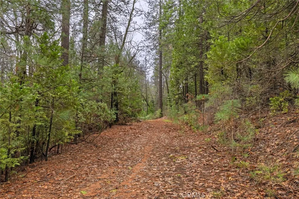 Christina Drive Forest Ranch, CA 95942