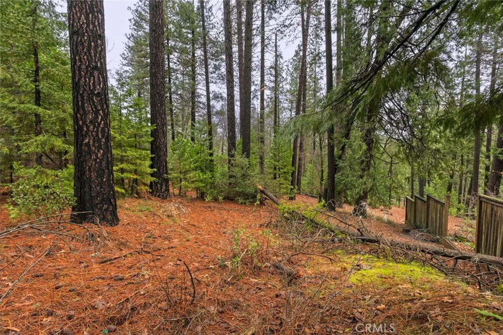 Christina Drive Forest Ranch, CA 95942