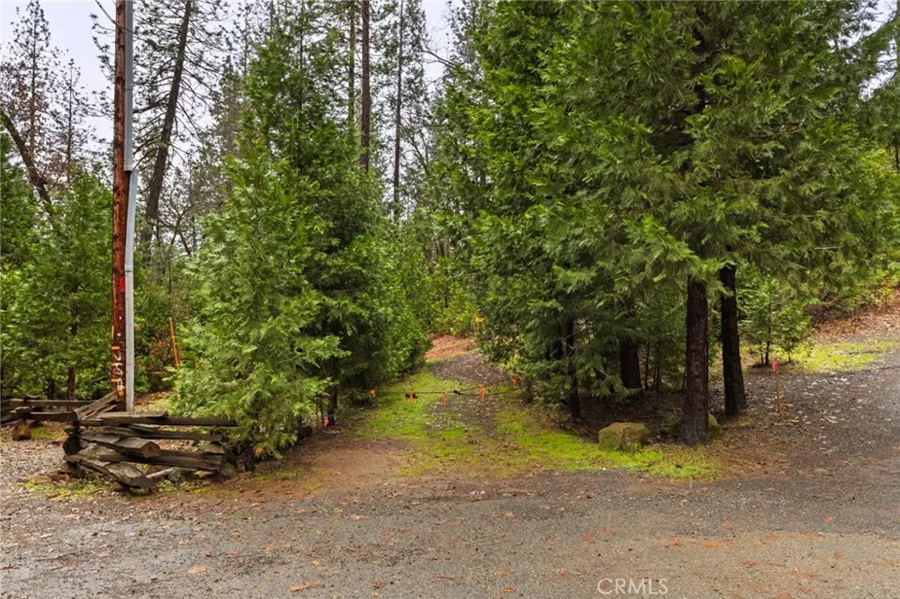 Christina Drive Forest Ranch, CA 95942