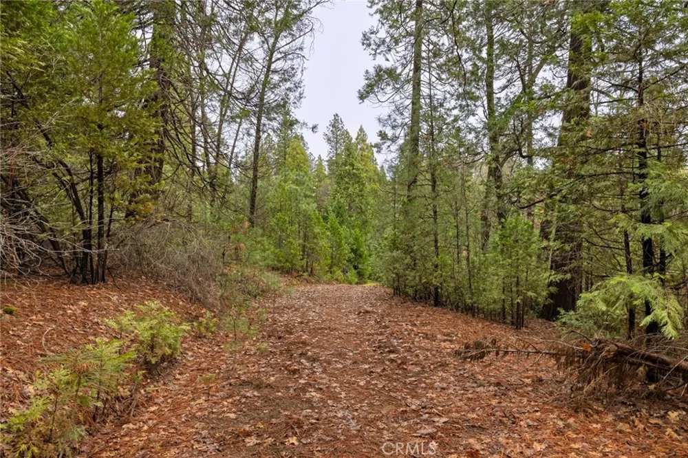 Christina Drive Forest Ranch, CA 95942
