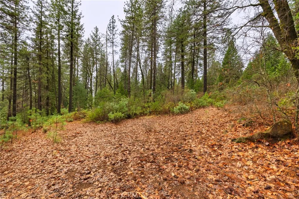 Christina Drive Forest Ranch, CA 95942