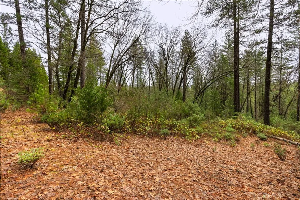 Christina Drive Forest Ranch, CA 95942