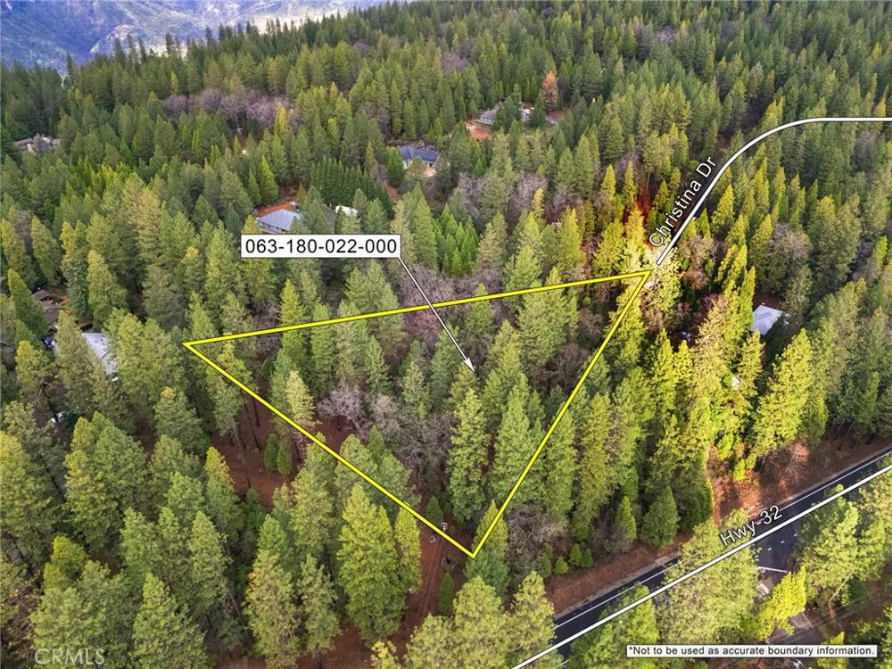 Christina Drive Forest Ranch, CA 95942