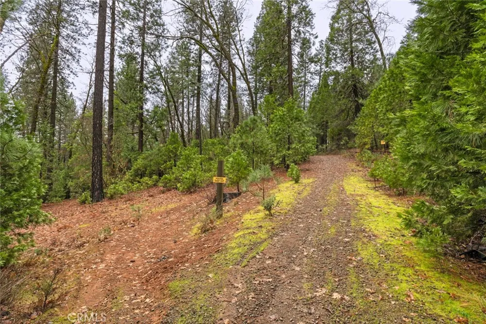 Christina Drive Forest Ranch, CA 95942