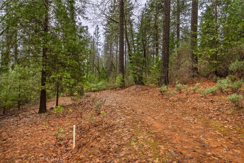 Christina Drive Forest Ranch, CA 95942