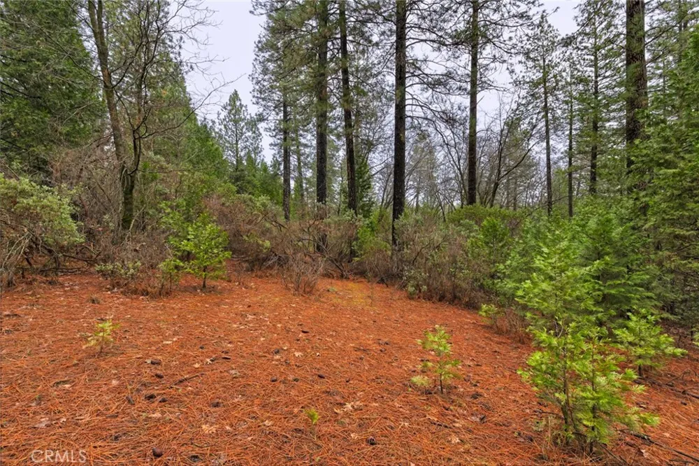Christina Drive Forest Ranch, CA 95942
