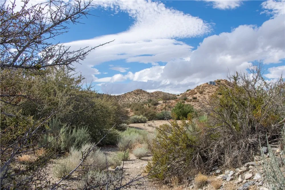 8160 Green Road Pinon Hills, CA 92372