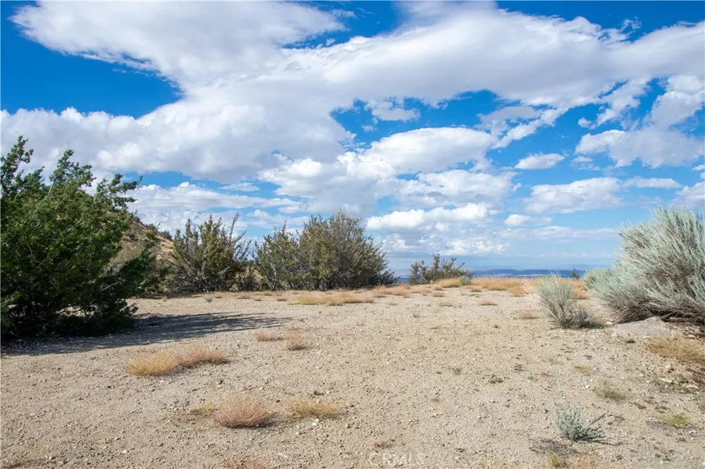 8160 Green Road Pinon Hills, CA 92372
