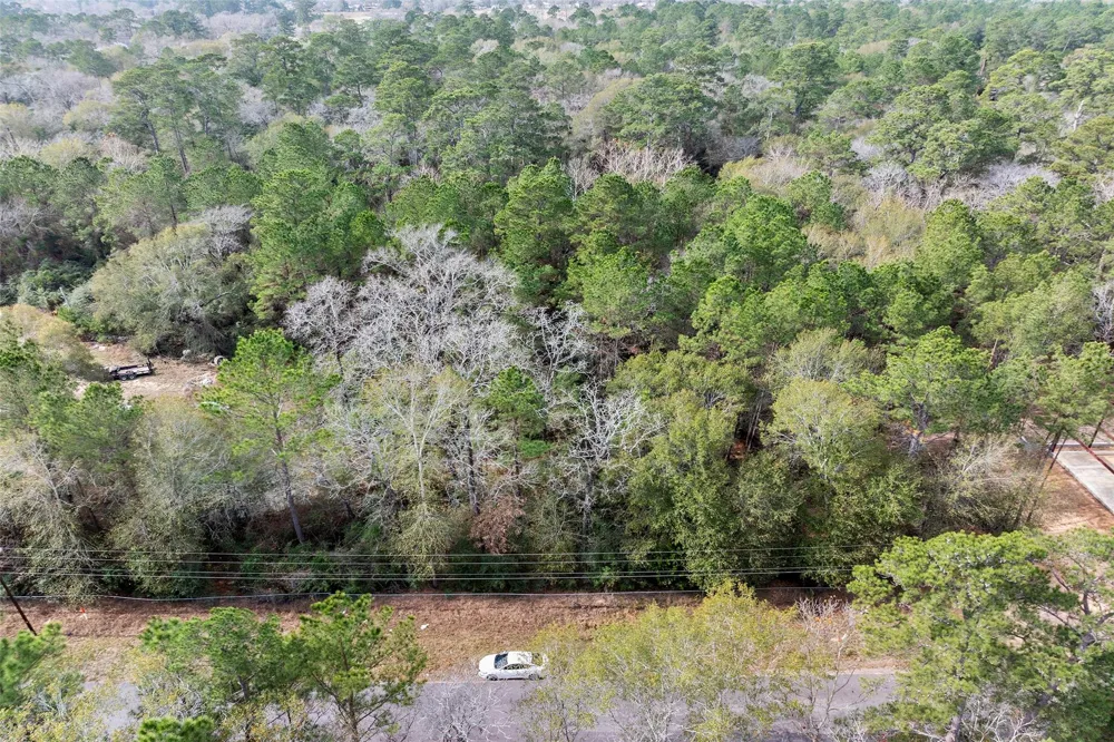 24799 Little John Circle Hockley, TX 77447