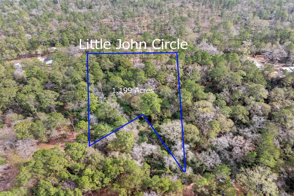 24799 Little John Circle Hockley, TX 77447