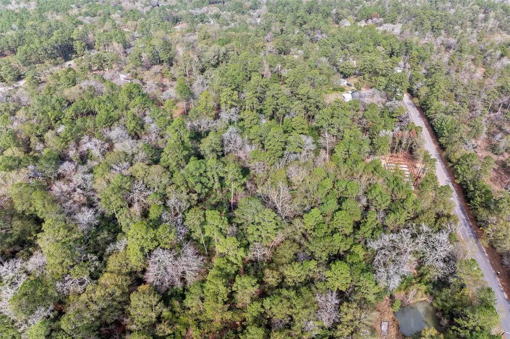 24799 Little John Circle Hockley, TX 77447