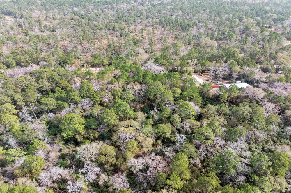 24799 Little John Circle Hockley, TX 77447