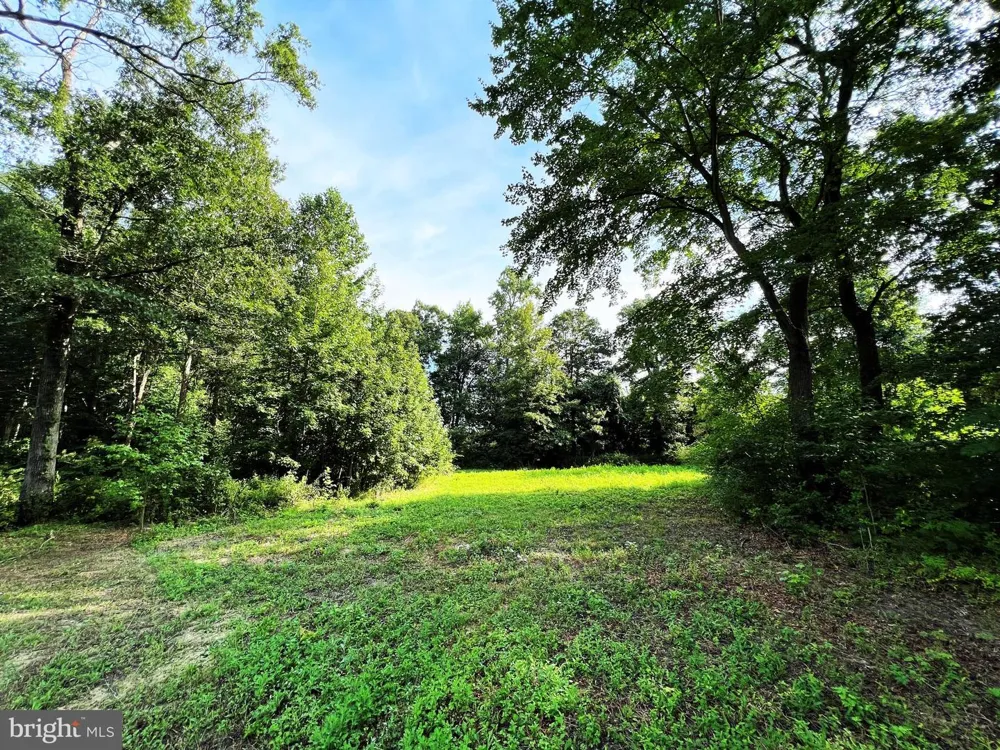 589 ARTIS DR Dover, DE 19904