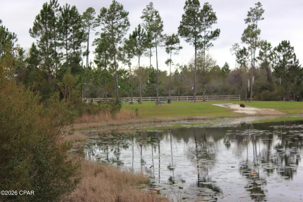 114 Widewater Circle Wewahitchka, FL 32465