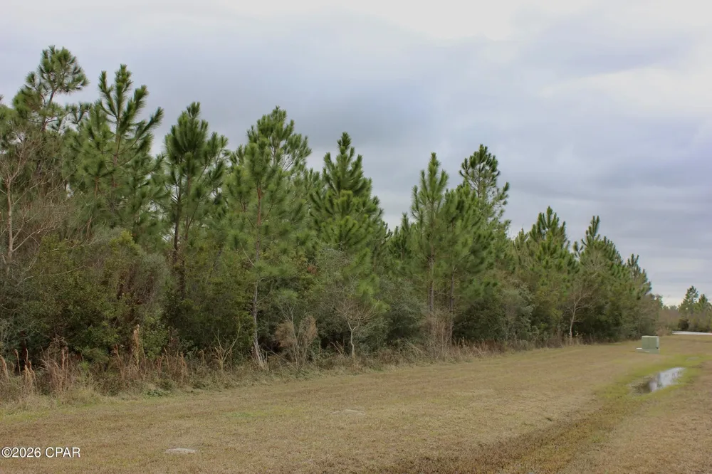 114 Widewater Circle Wewahitchka, FL 32465