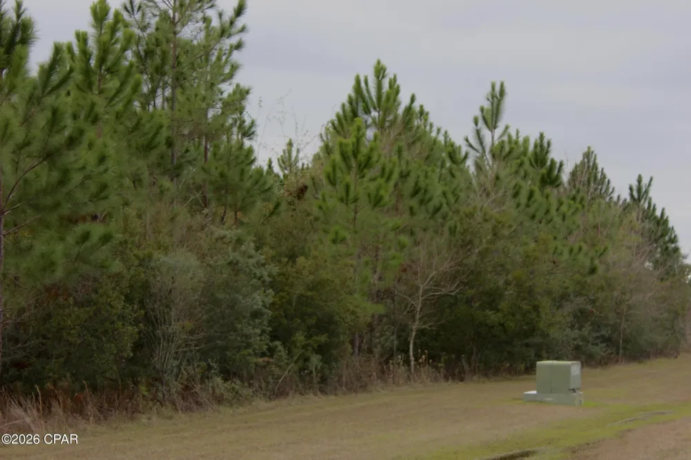 114 Widewater Circle Wewahitchka, FL 32465