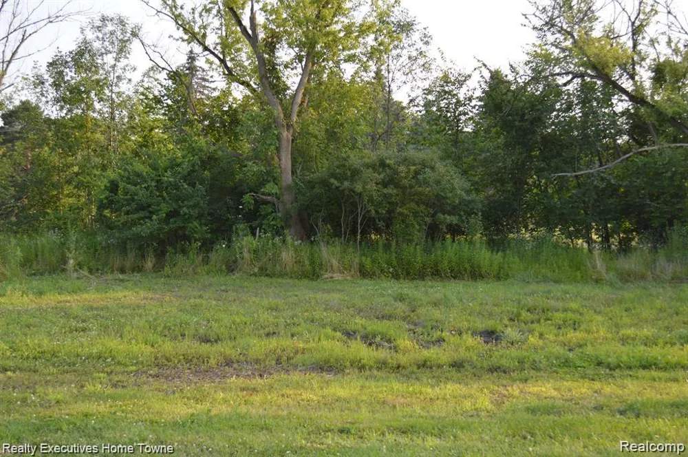 54620 Washington Chesterfield Township, MI 48047