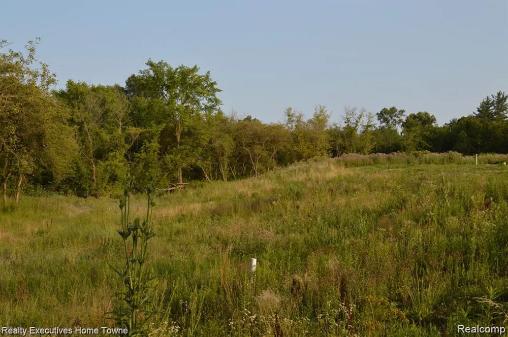 54620 Washington Chesterfield Township, MI 48047