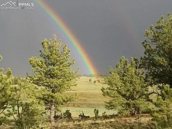 79 Quail Court Hartsel, CO 80449