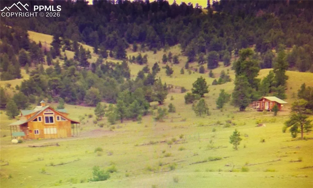79 Quail Court Hartsel, CO 80449