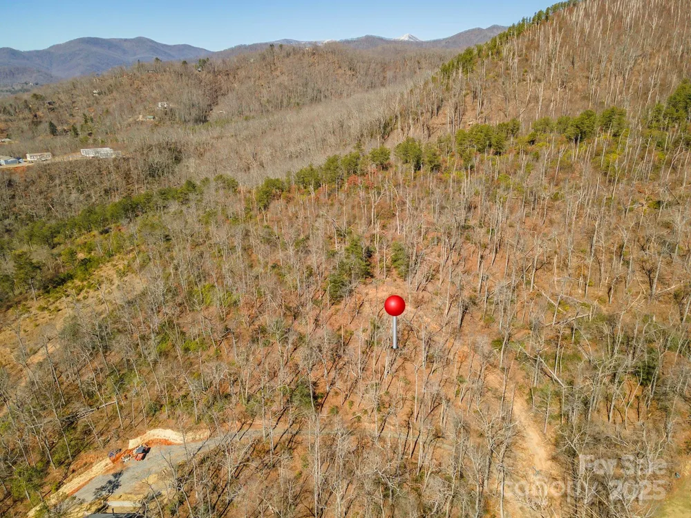107 Bartram Way Black Mountain, NC 28711