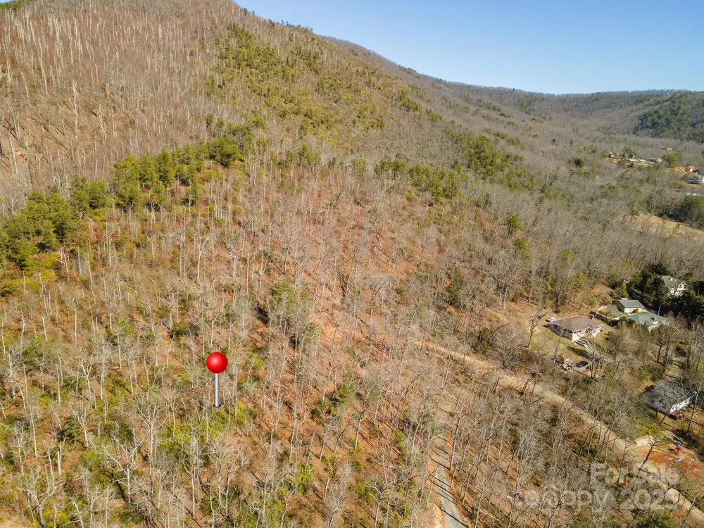 107 Bartram Way Black Mountain, NC 28711