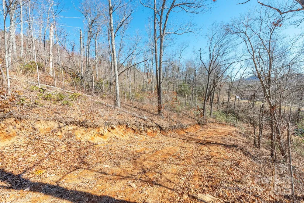 107 Bartram Way Black Mountain, NC 28711