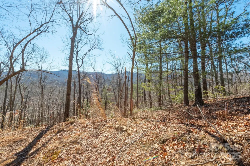 107 Bartram Way Black Mountain, NC 28711