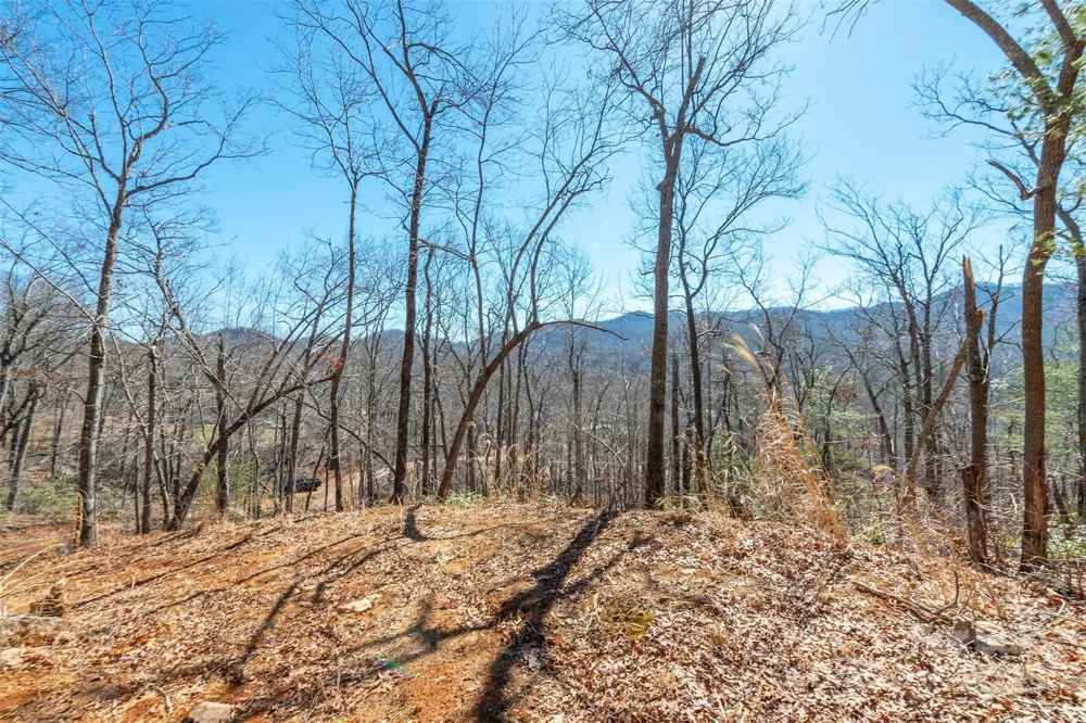 107 Bartram Way Black Mountain, NC 28711