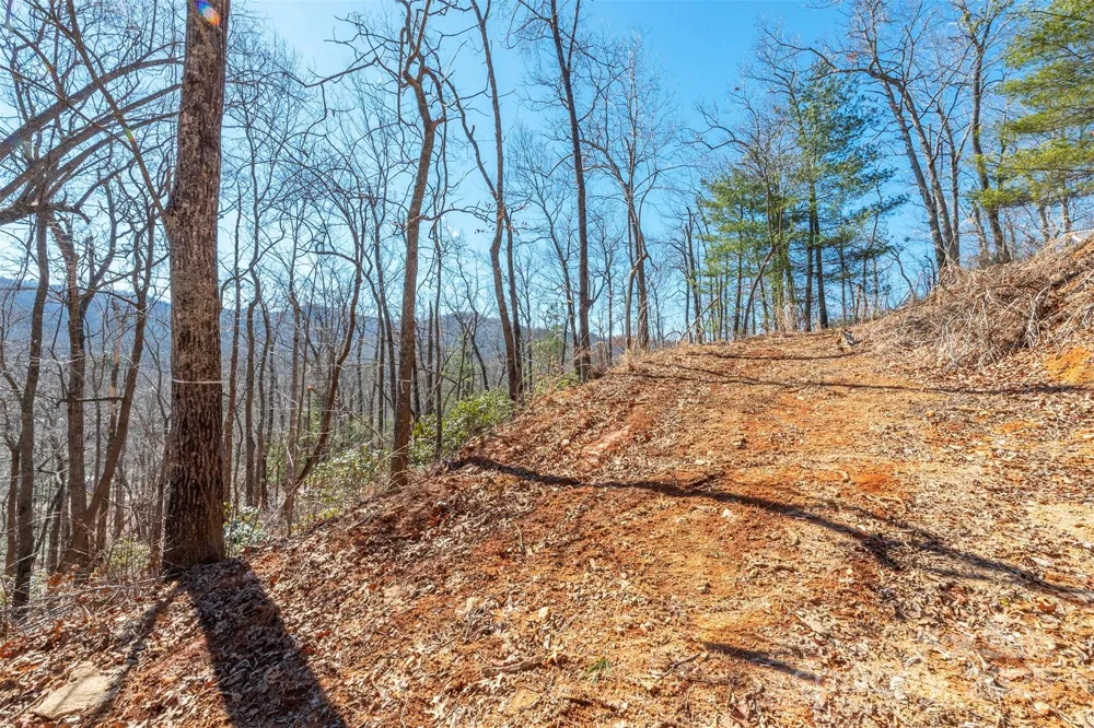 107 Bartram Way Black Mountain, NC 28711