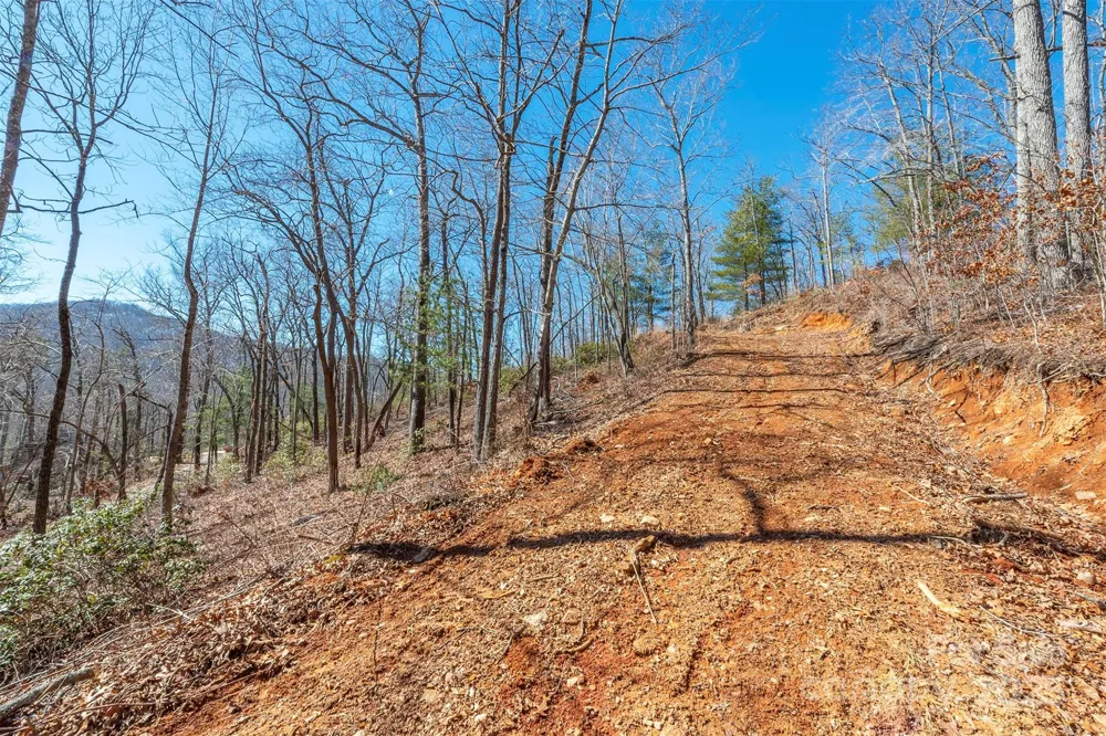 107 Bartram Way Black Mountain, NC 28711