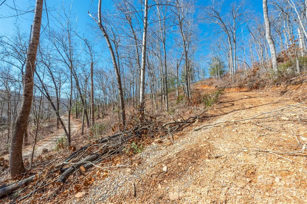 107 Bartram Way Black Mountain, NC 28711