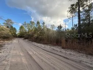 880 STILL ROAD Pierson, FL 32180