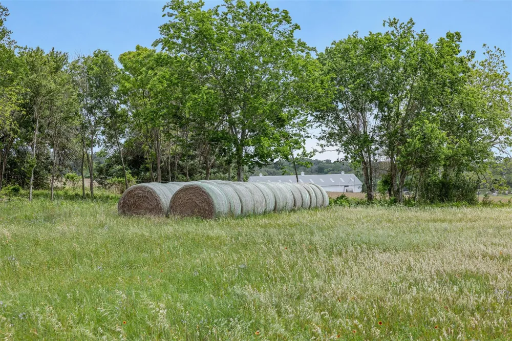 Bauer Rummel Road Round Top, TX 78954