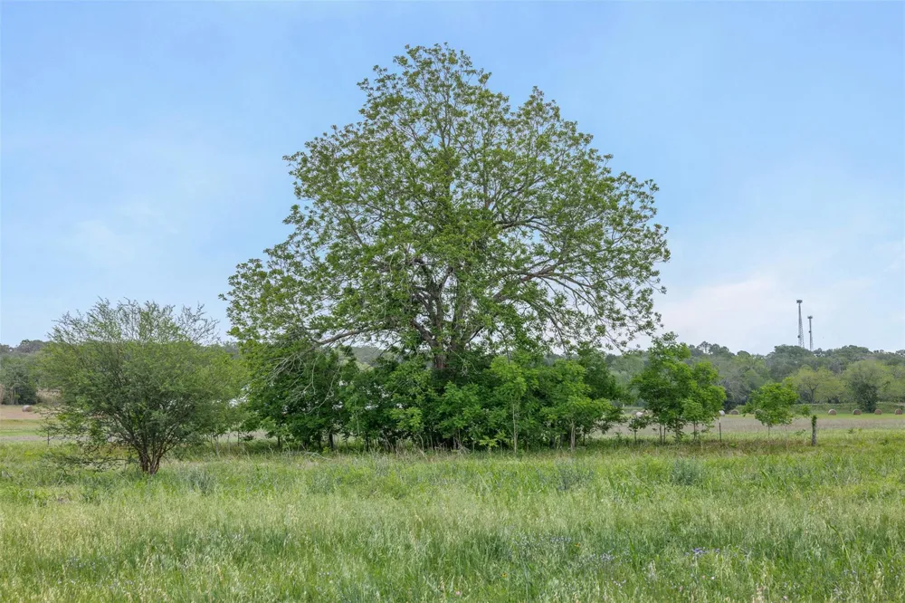 Bauer Rummel Road Round Top, TX 78954