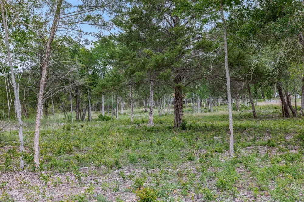 Bauer Rummel Road Round Top, TX 78954