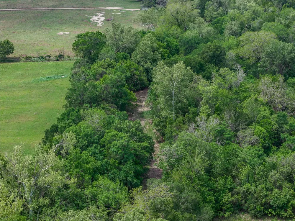 Bauer Rummel Road Round Top, TX 78954